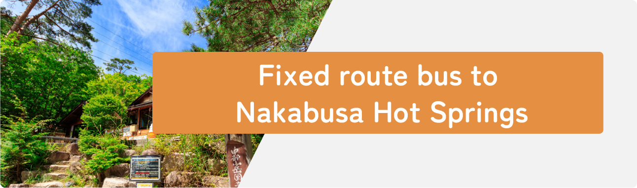 Fixed route bus to Nakabusa Hot Springs