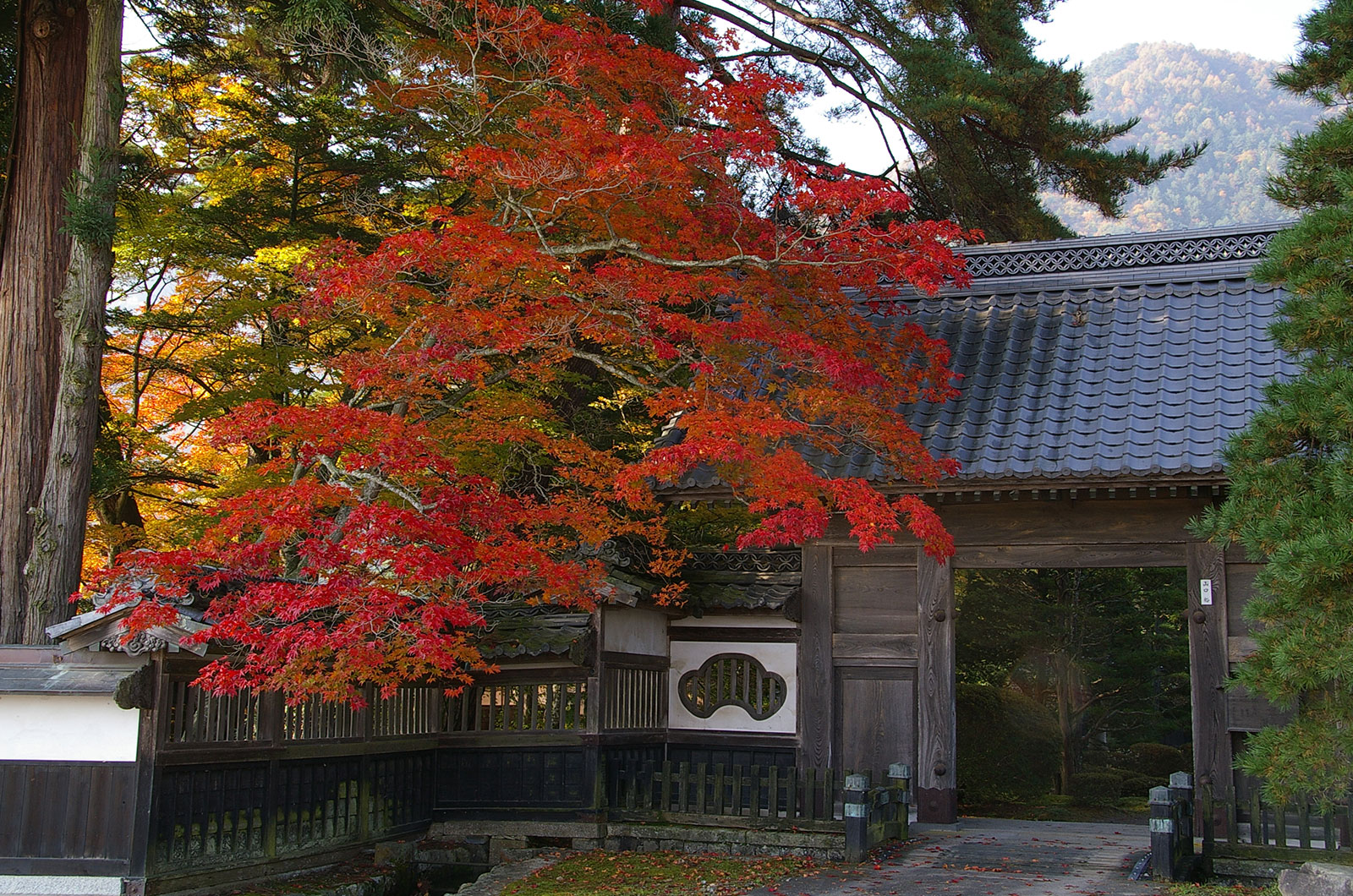 Oshoya (village headman) Yamaguchi House